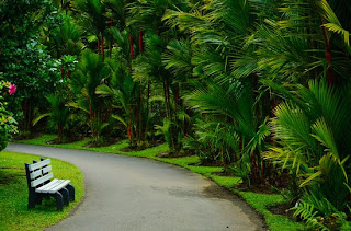 Image Be the first to discover secret destinations, travel hacks, and more. Hawaiian Vacation Packages Inclusive 4 Must Visit Hawaii Big Island Attractions