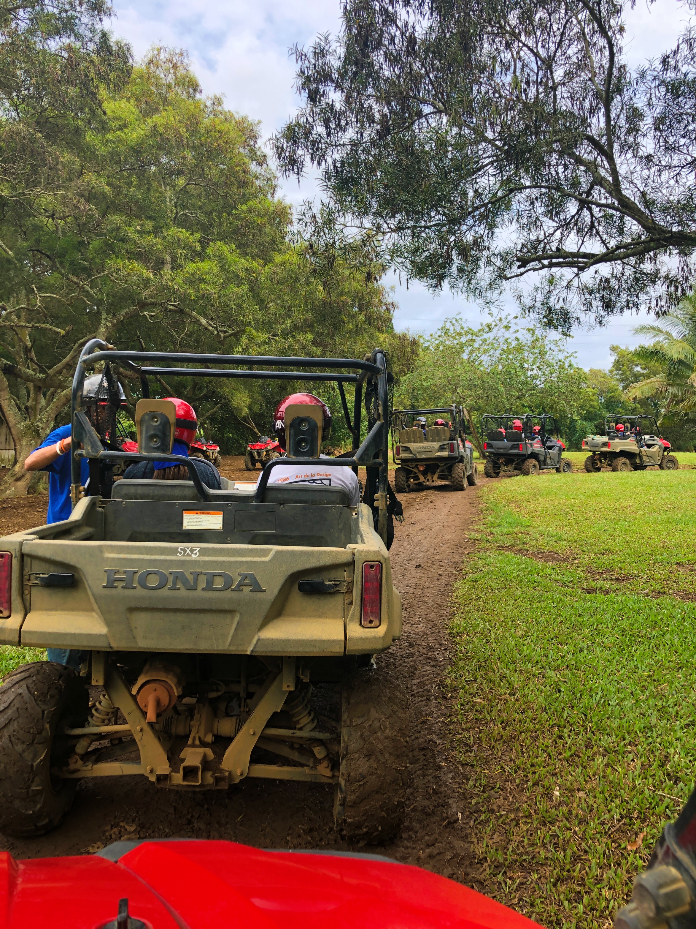 Horseback riding tours near hilo. Atv Outfitters A Boy A Girl A Passport