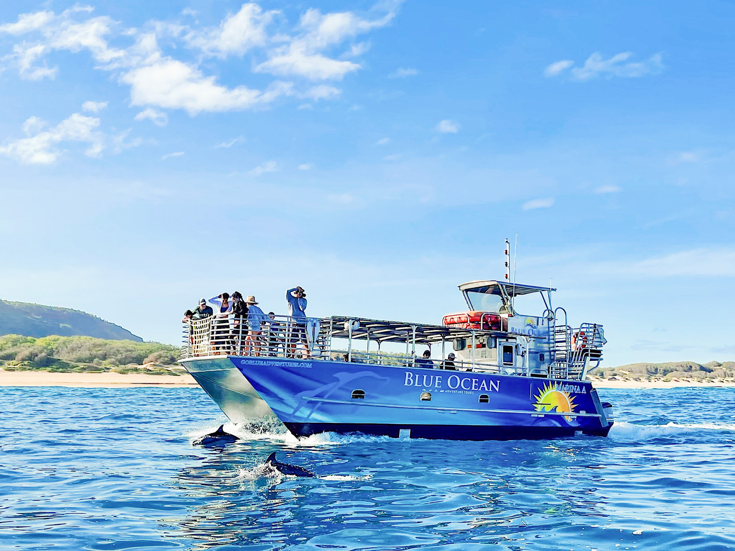 You just have to know where to look. Blue Ocean Adventure Tours