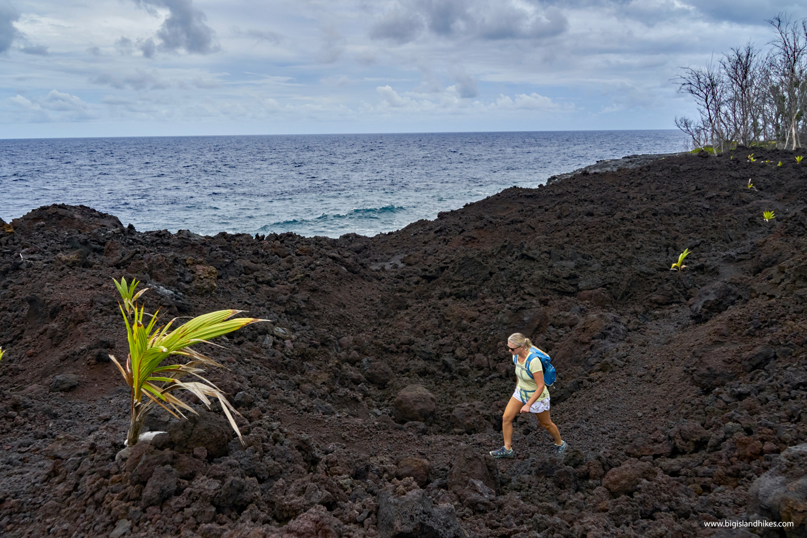 Save on the big island volcano lava hike offered by essential hawaii tours. 2018 Lava Flows Hike Big Island Hikes