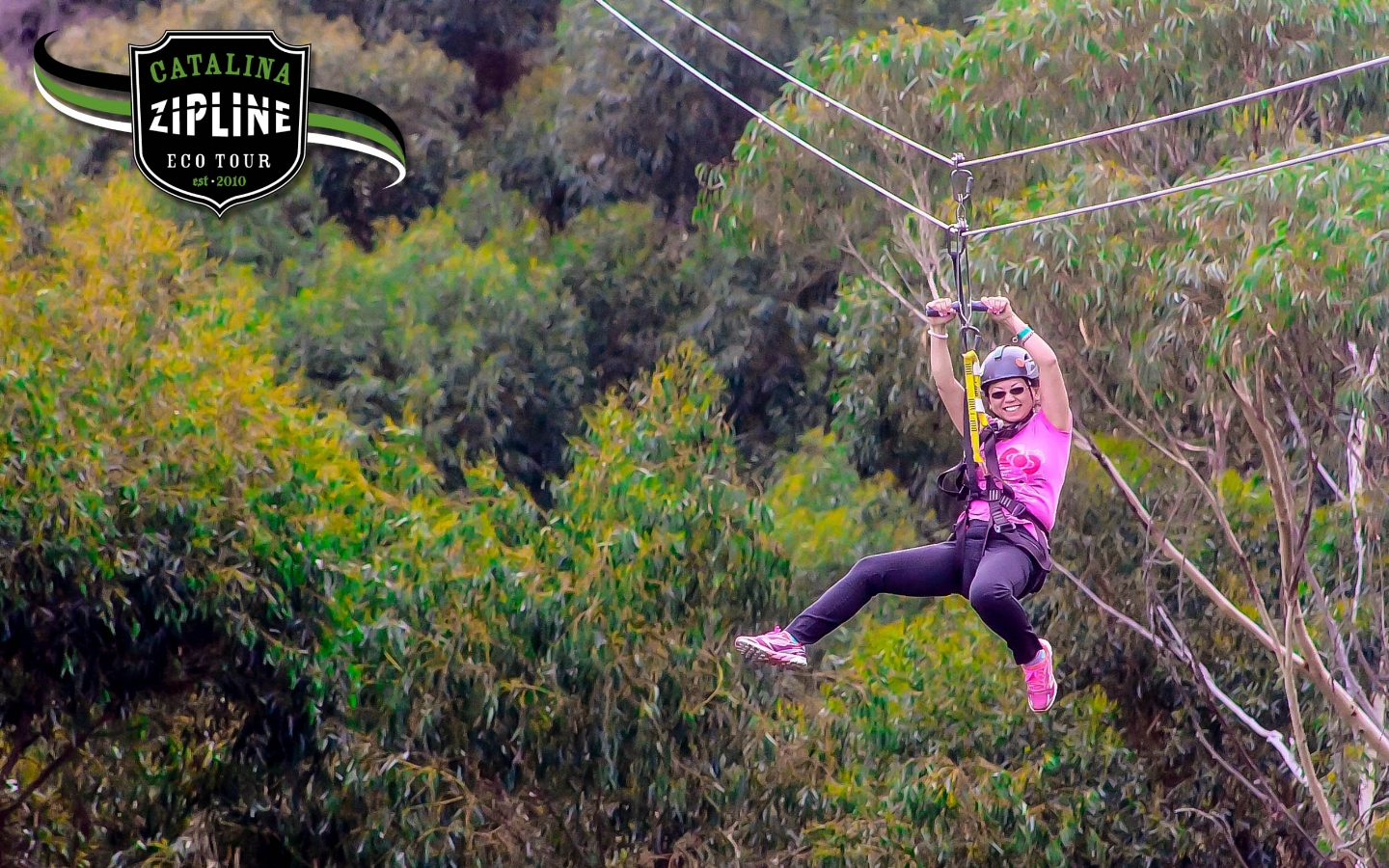 That the operator of the zip line, which is located north of hilo, . Our Customers Snapsportz