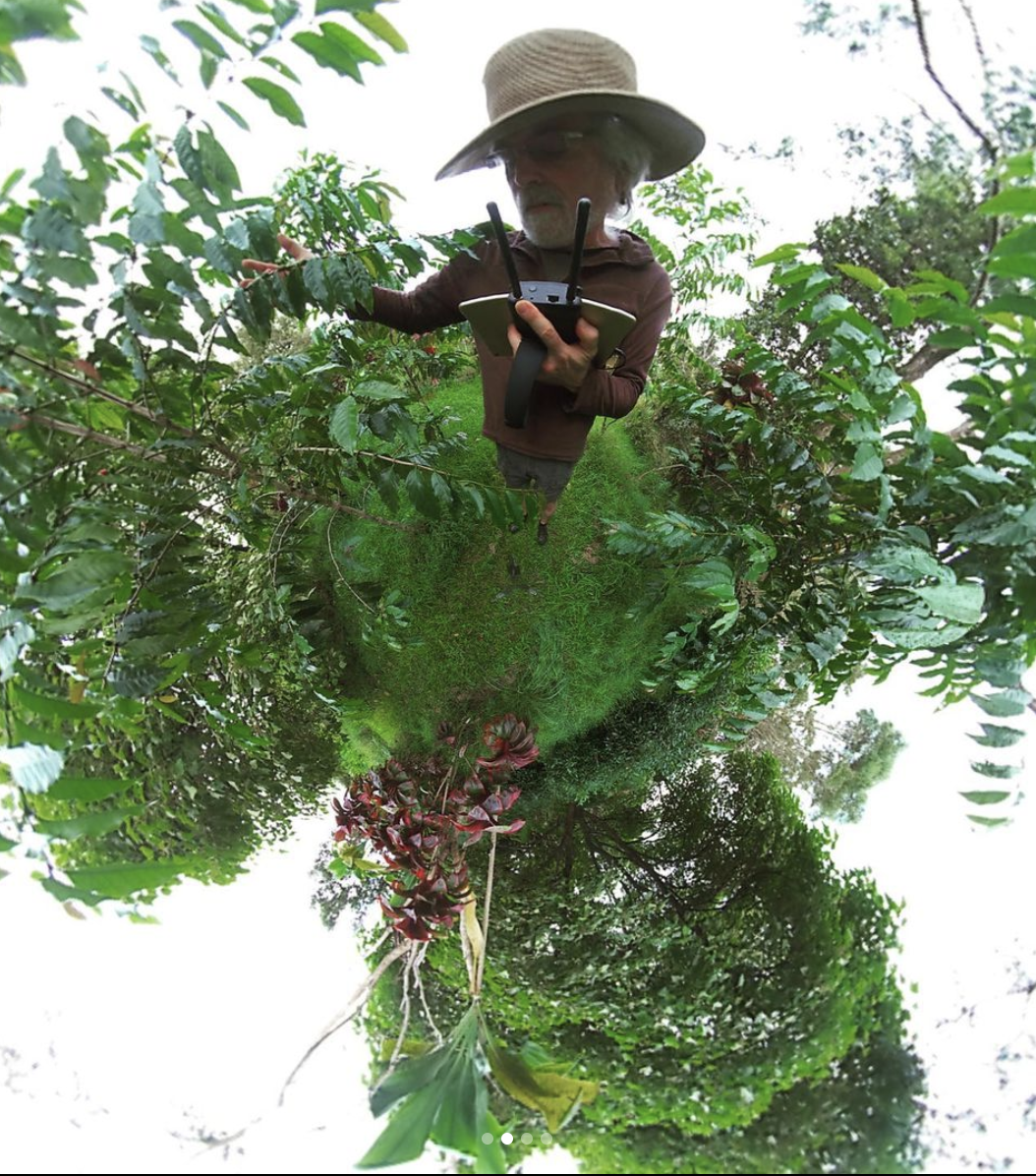 Hgtv shows you an artist's garden at turnipseed nursery farms in fayetteville, georgia to inspire your own yard. Tours Big Island Tea