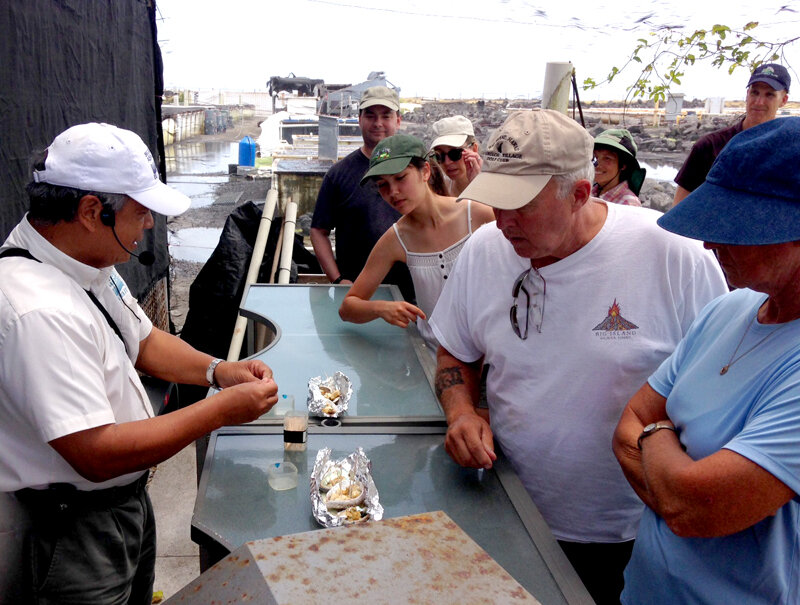 Photo Barry's kona cookies · puna chocolate company · wasabi tours hawaii · big island bees · kona coffee living history . Big Island Abalone Farm Big Island Abalone