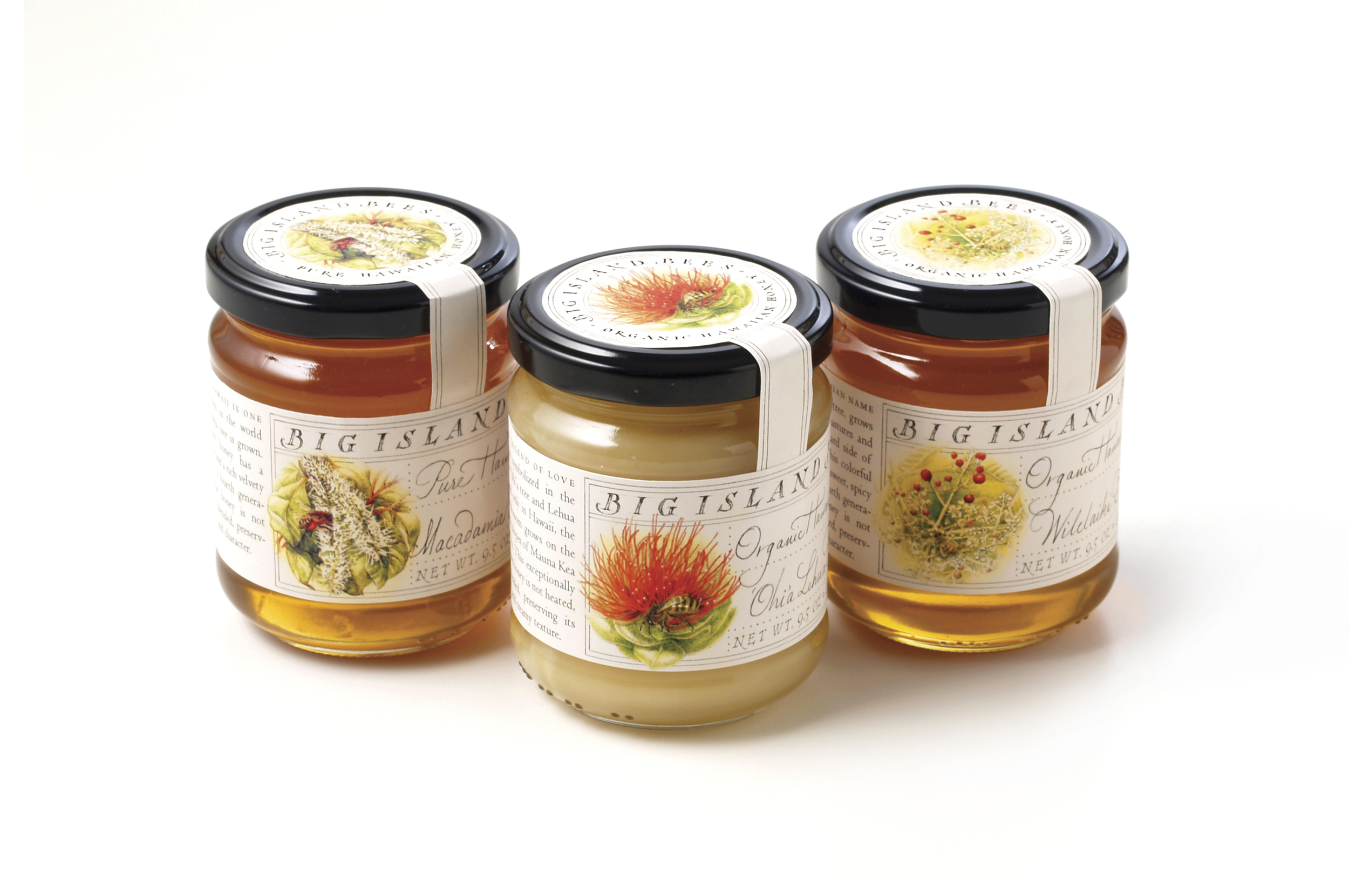 Using your nook miles, you can buy tickets to explore seemingly random deserted islands. Big Island Bees Louise Fili Ltd