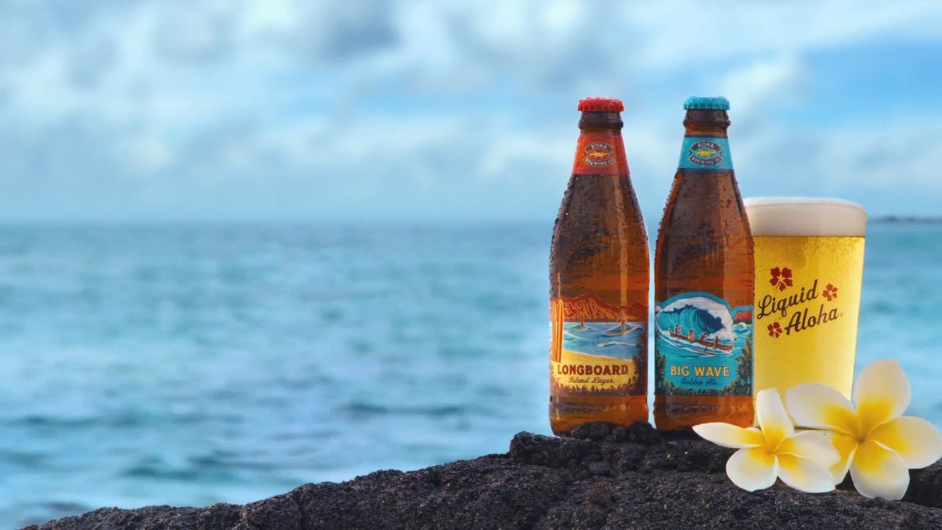 A helicopter tour is the best way to see the island of kauai. Hawaii Sail Charters Kona Sailing Tours Sunset Sail Snorkeling Adventures Activities Kona Sailing Tours Hawaii Sail Charters