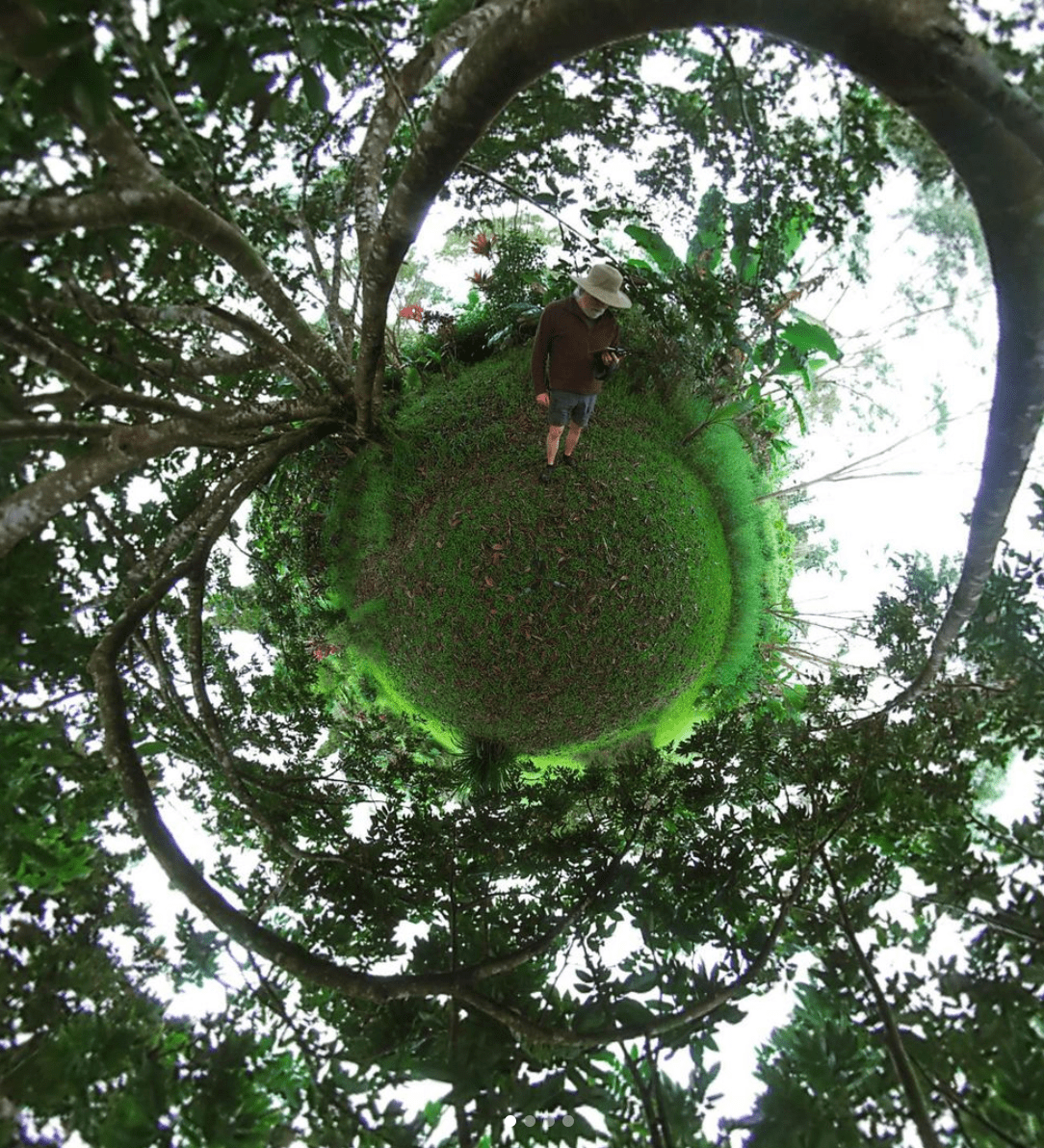 — kim walker every item on this page was chosen by a woman's day editor. Tours Big Island Tea