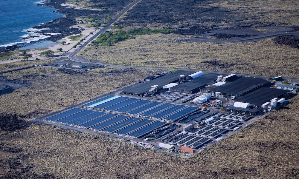 Always call the business before going to take the factory tour. Big Island Abalone Buy Premium Japanese Ezo Abalone