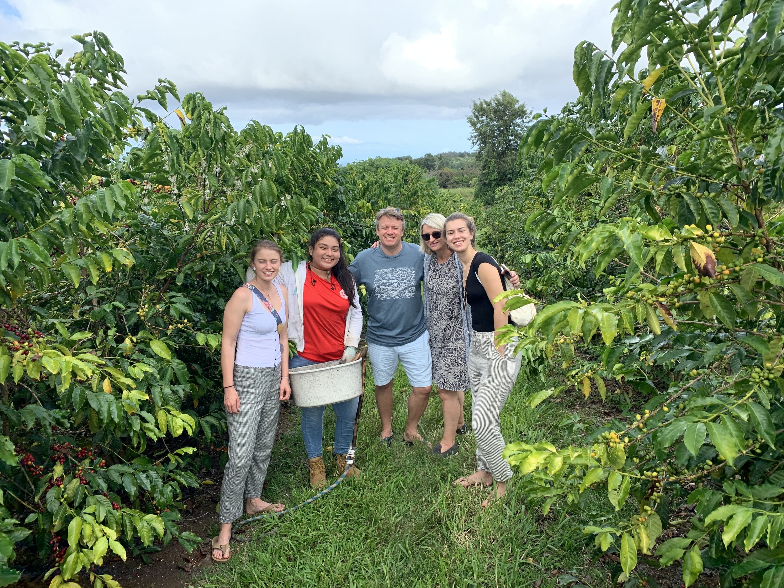 From seed to cup, guests are given an inside look at the history, farming and processing of coffee before sampling greenwell farms 100% kona coffee. Monarch Coffee