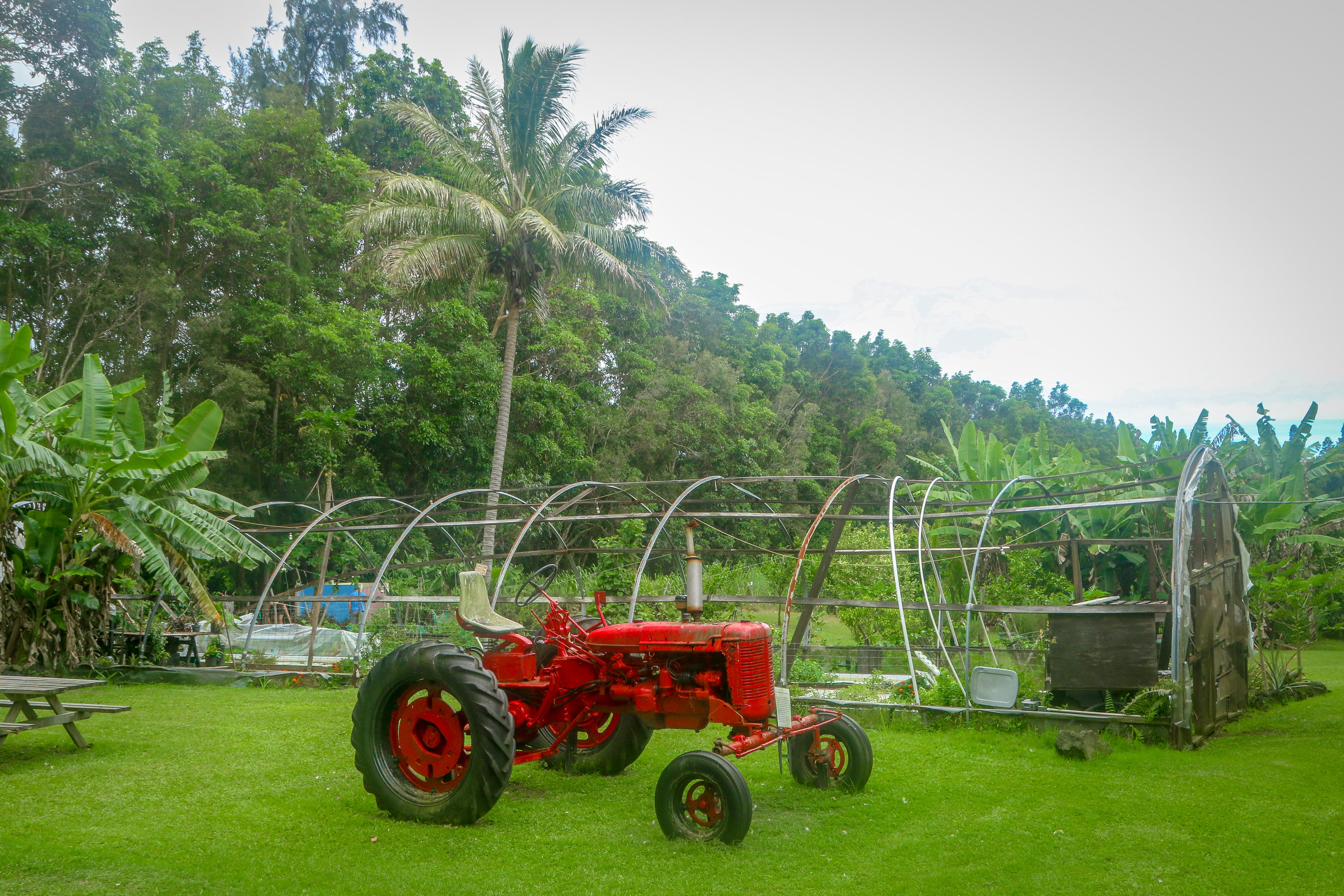Get 20% off at our online shop. Snapshots The Big Island Of Hawaii Miles 2 Go