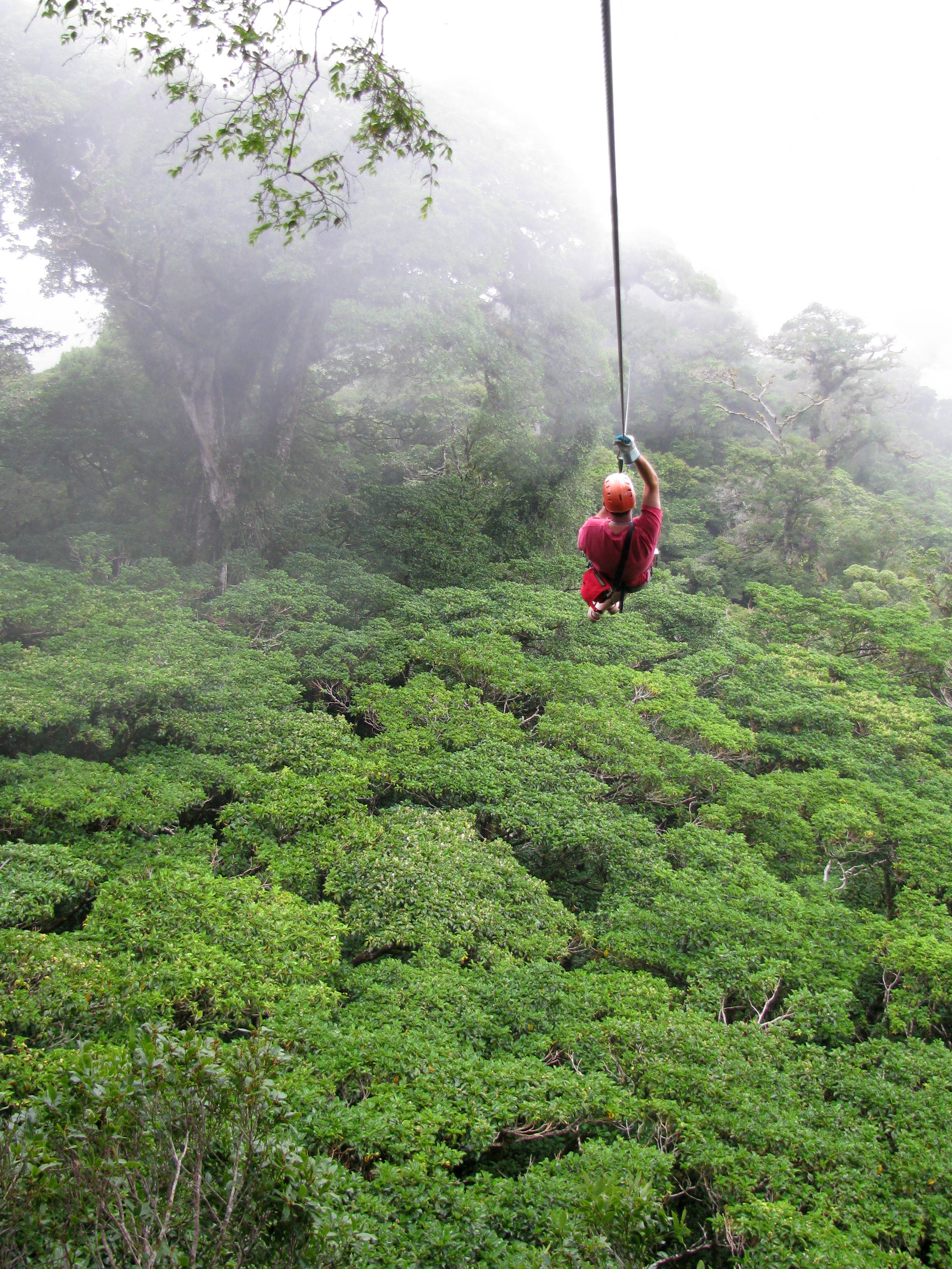 Falls and umauma falls, make for a truly spectacular zipline experience. Zip Lining Big Island Vacation Services