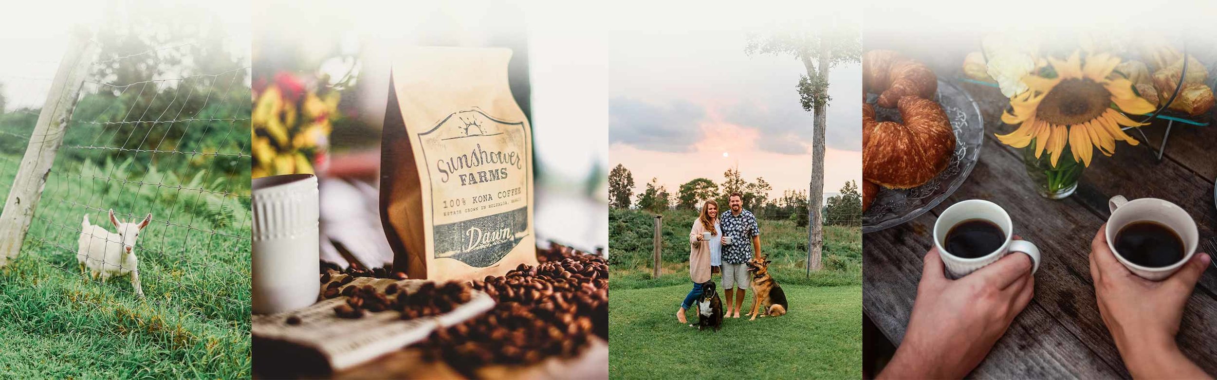 Ocean rider seahorse farm · 5. Sunshower Farms Kona Coffee Farm And Event Venue