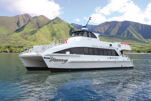 There are up to four cruises daily in seas. Molokini Snorkeling Molokini Crater Snorkel Tours