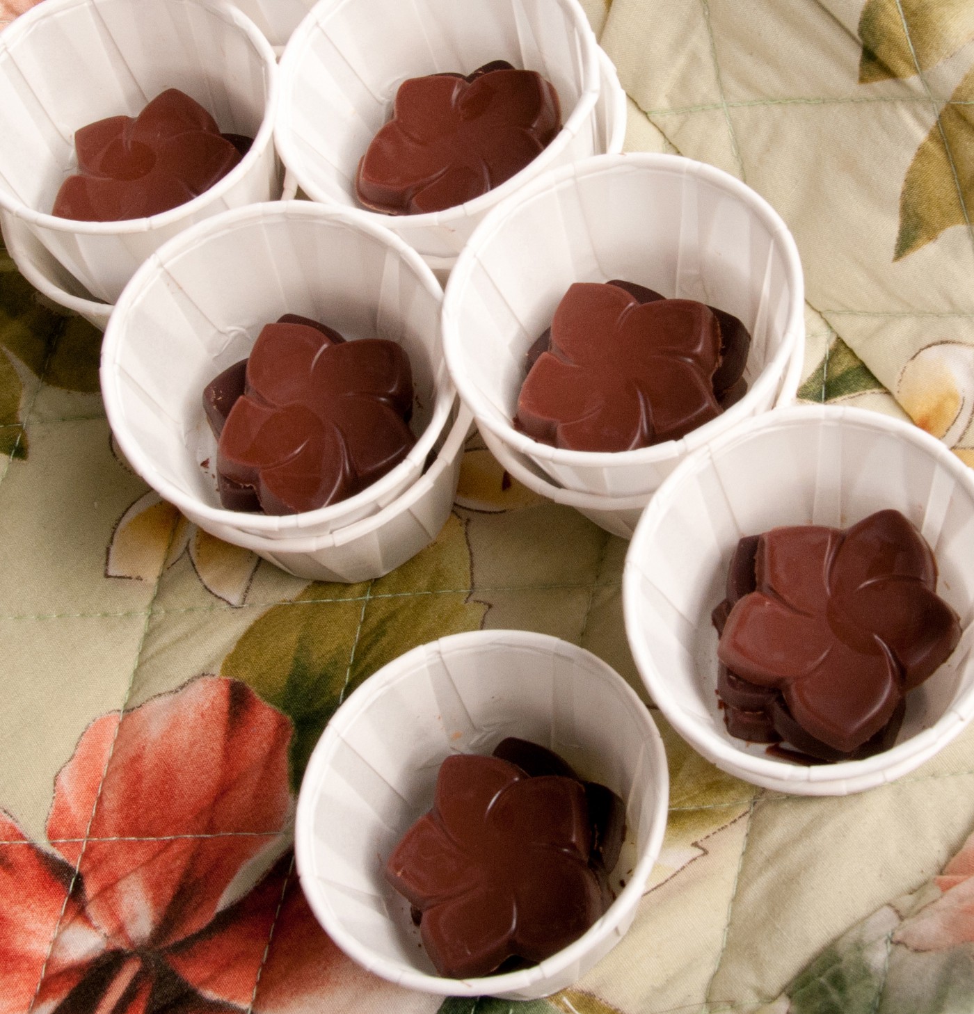 Kona coffee, chocolate & city of refuge tour. Hawaii S Kona Coast Beckons With A Growing Folksy Fun Food Scene To Savor By April Orcutt Batw Travel Stories Medium