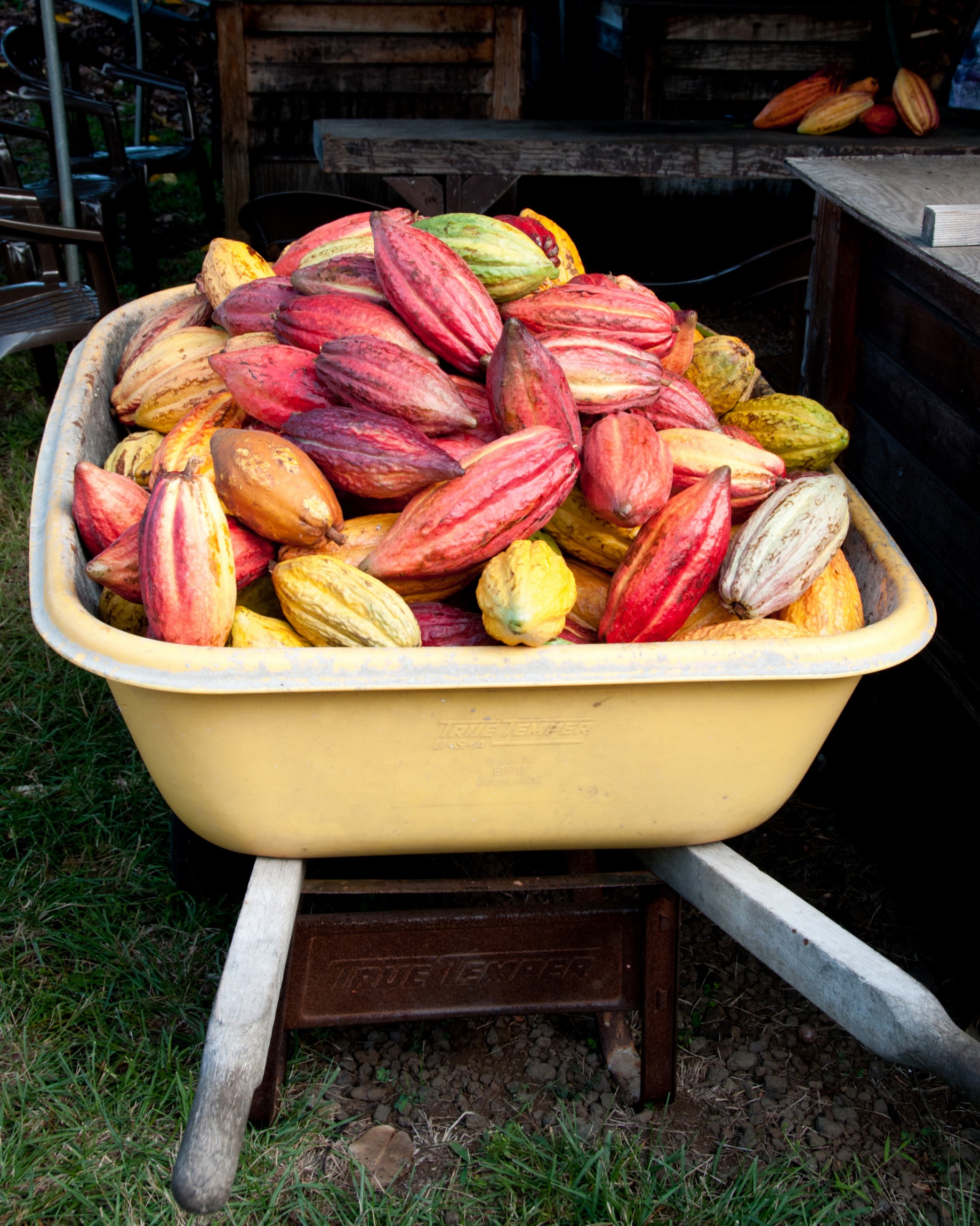 Because the big island is so… Hawaii S Kona Coast Beckons With A Growing Folksy Fun Food Scene To Savor By April Orcutt Batw Travel Stories Medium