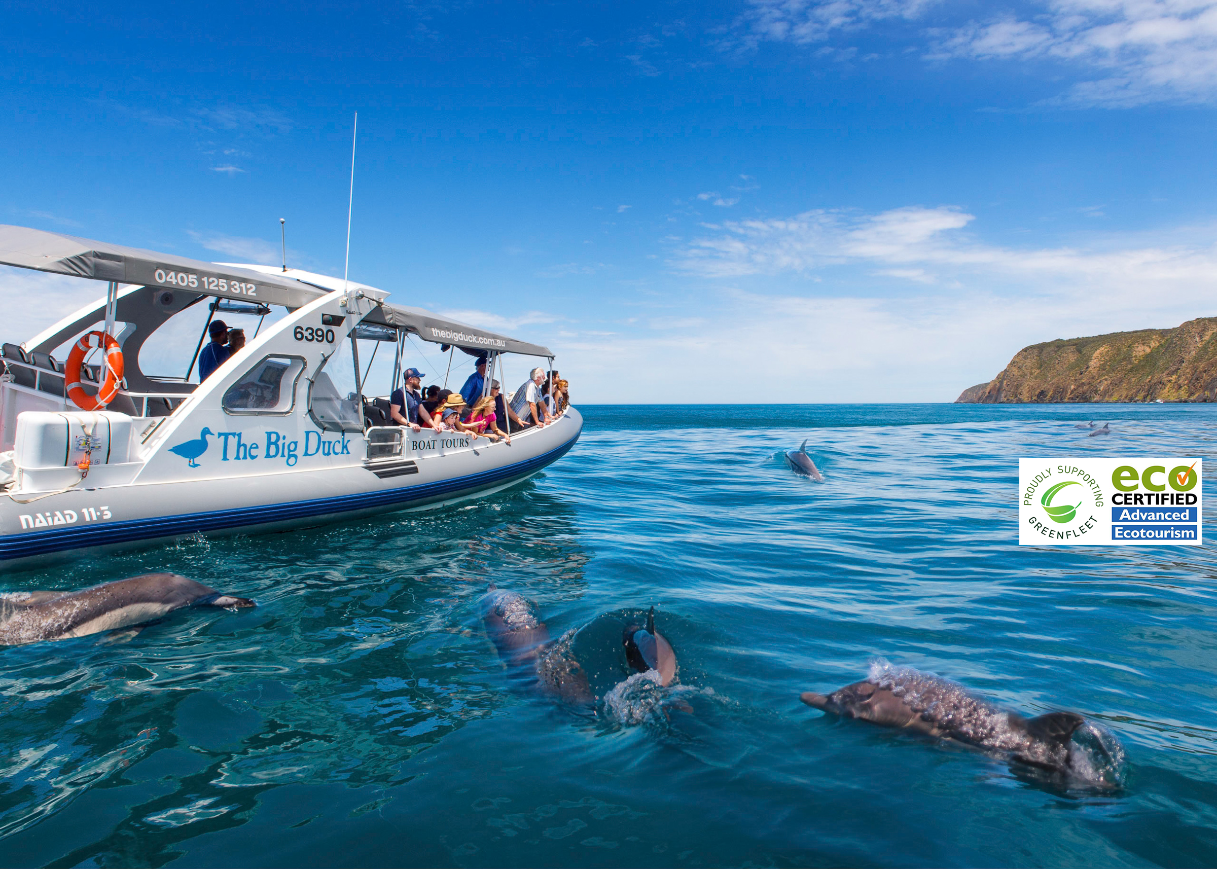 Talk with other fans, catch up with your favorite shows and more. The Big Duck Tours