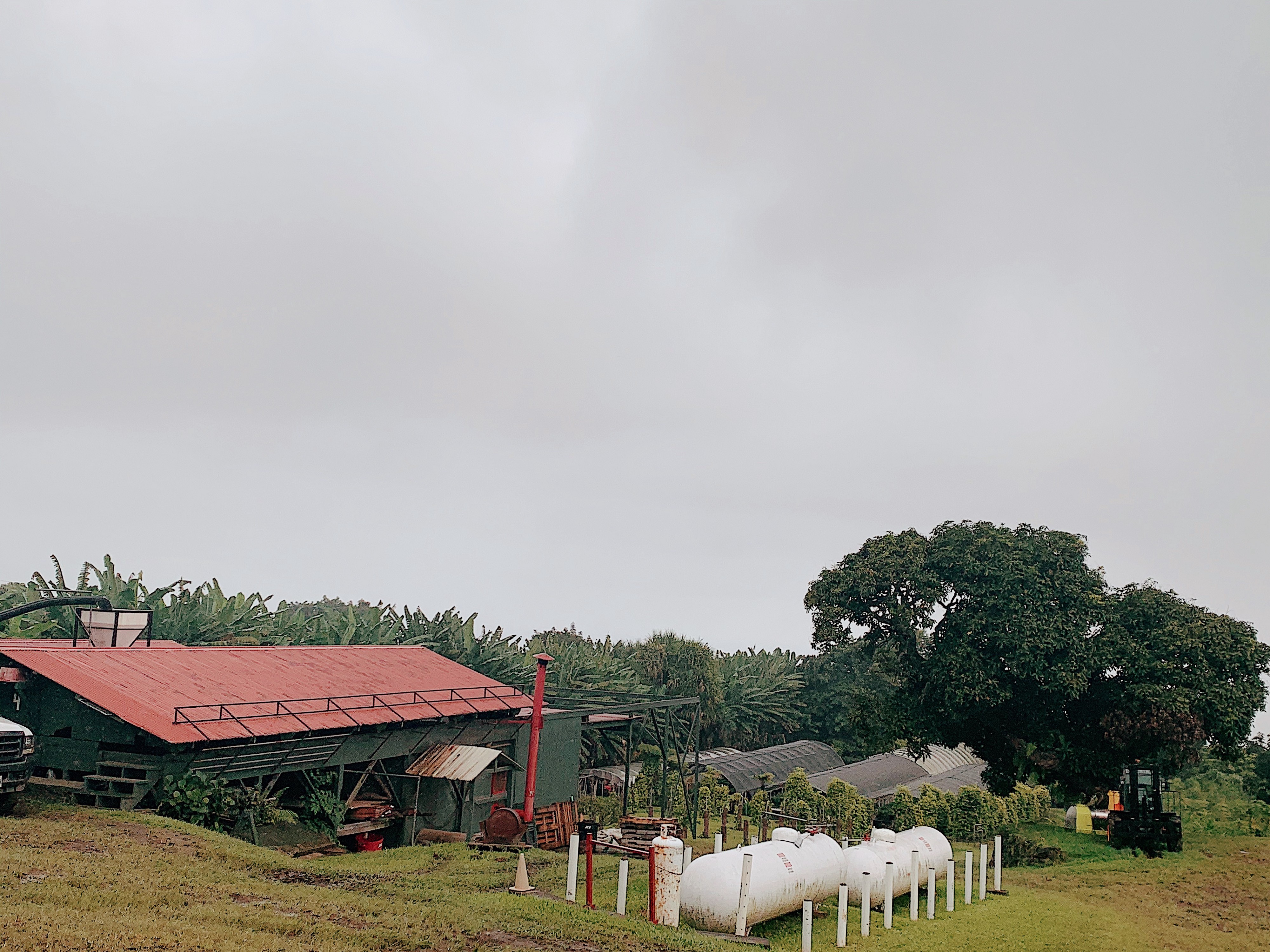 Daily 8 am to 4:30 pm. Wander From Home Kona Coffee Farm Tour On The Big Island Of Hawaii By Seek Out Travel Sep 2021 Medium