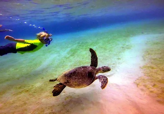 A permit is required for kayaking. Hawai I Surf And Kayak Tours Rentals Puako Big Island
