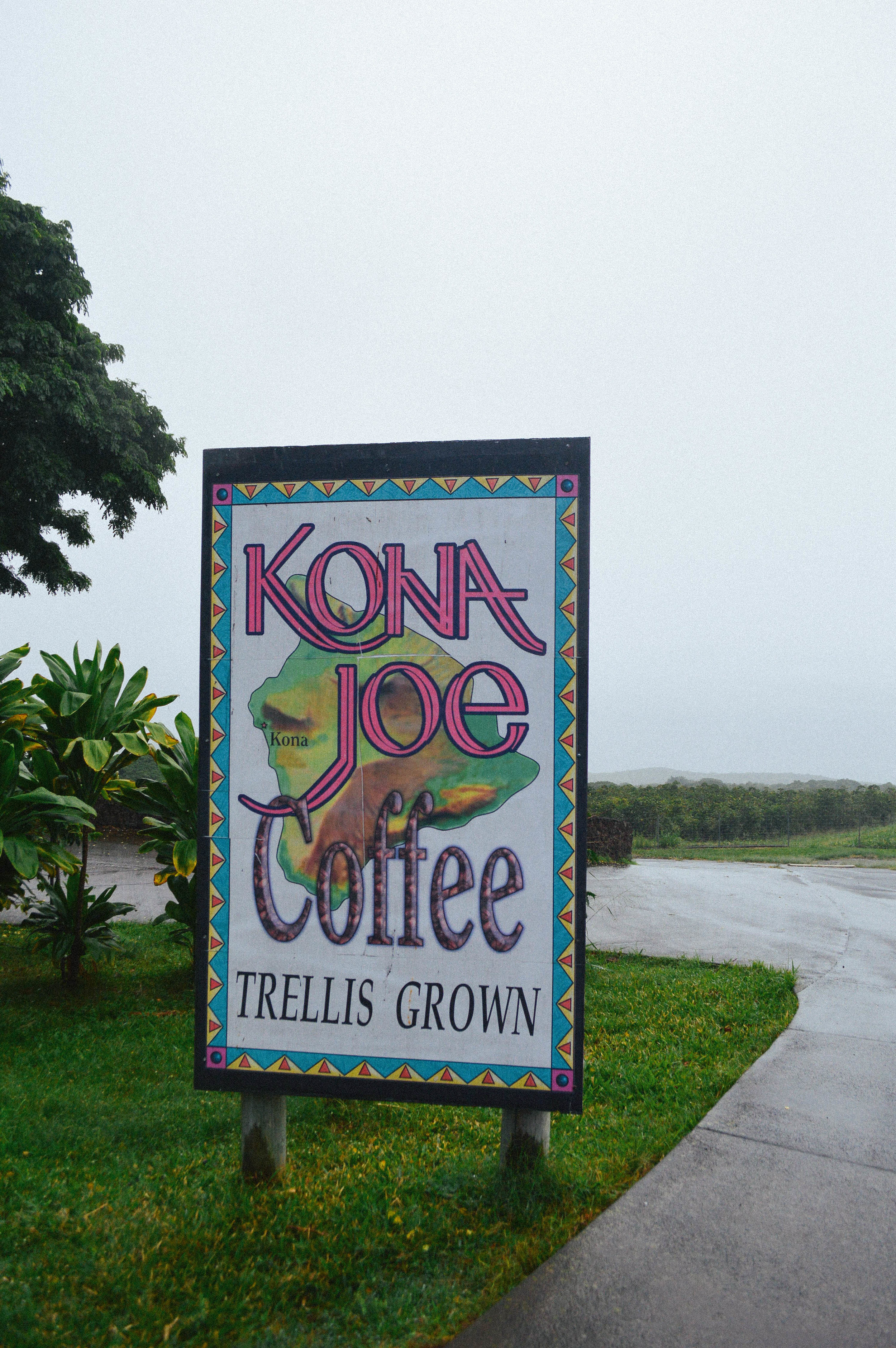 Kona joes coffee farm in big island kealakekua, hawaii. Kona Joe Coffee Blog Salt Water Vibes