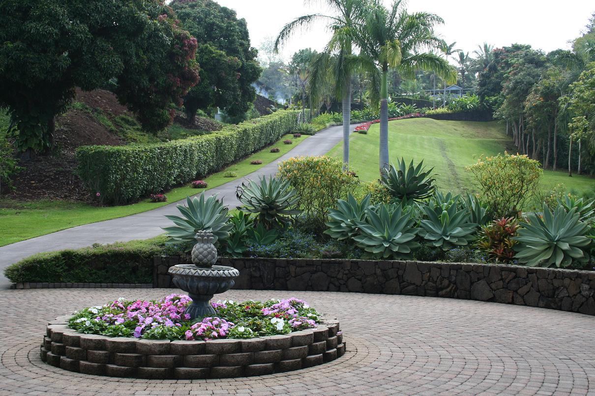 · sign up for our weekly newsletter · best tour: Big Island Motorcycle Co Insider Tip Of The Week Free Coffee Farm Tour