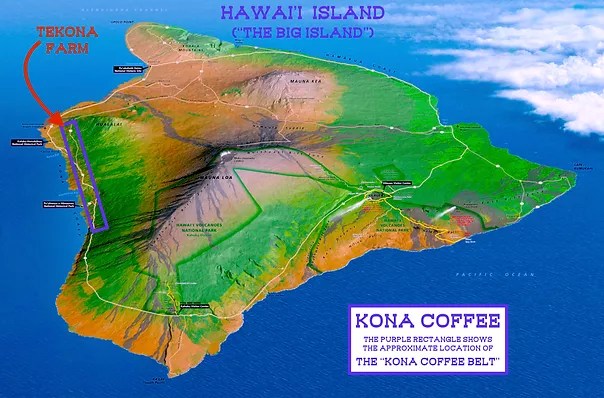 The total area used for coffee cultivation is estimated to be about 4,000 km 2 (1,500 sq mi). About Tekona