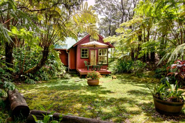Paradise in hawaii is the premier choice for big island luxury vacation rentals! Ferny Hollow Romantic Rainforest Cottage In Volcano Village Hawaii Volcano Vacations Vacation Rentals