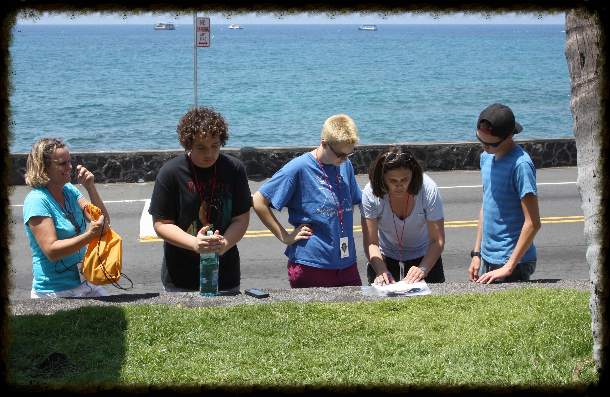 Picture Historic kona · dolphin reef & captain cook snorkel adventure · kona coast adventure · fantastic race kona · kona coffee, green sea turtles & historical park. Cruise Ship Shore Excursions All New Socially Distanced And Eco Friendly 2021 Race Enjoy A Completely No Contact Clue Collecting Process