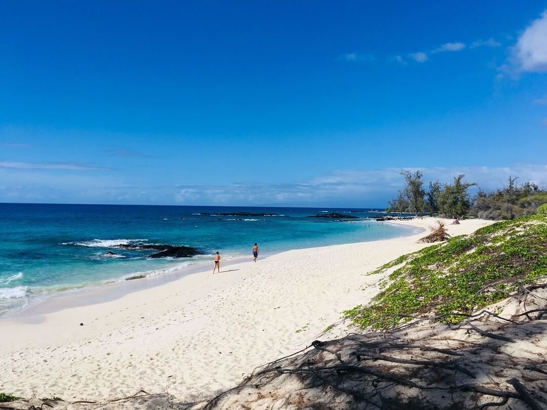 Just look at these sugary beaches, technicolor coral reefs and volcanoes beckoning adventurous spirit. Travel To Hawaii During Covid Updated Sept 13 2021 My Hawaii Hostel