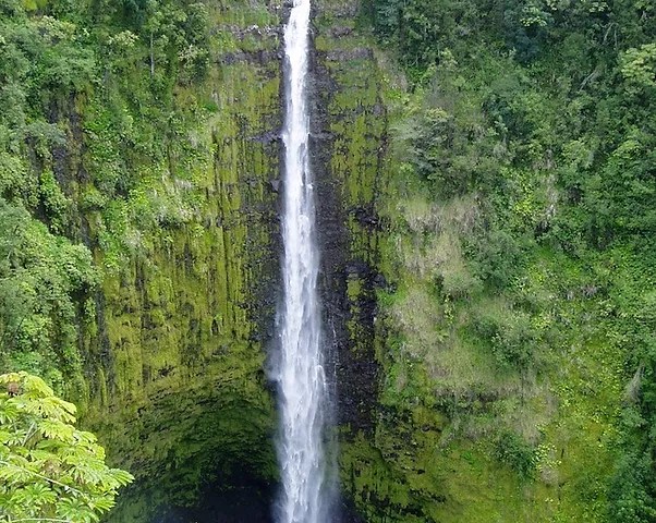 Visit farms and orchards to learn (and taste) about our delicious local products. Custom Tours