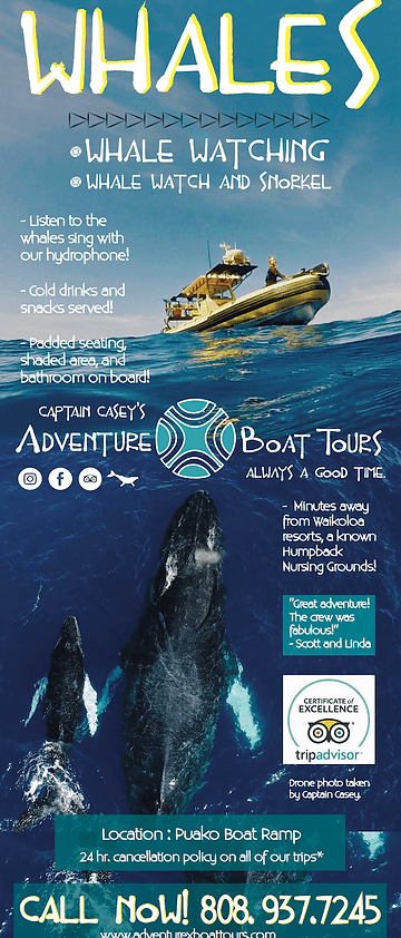 All aboard for a specialty boat tour taking you to see hawaii's natural marine. 08 Adventure X Boat Tours Www Lightwave Design