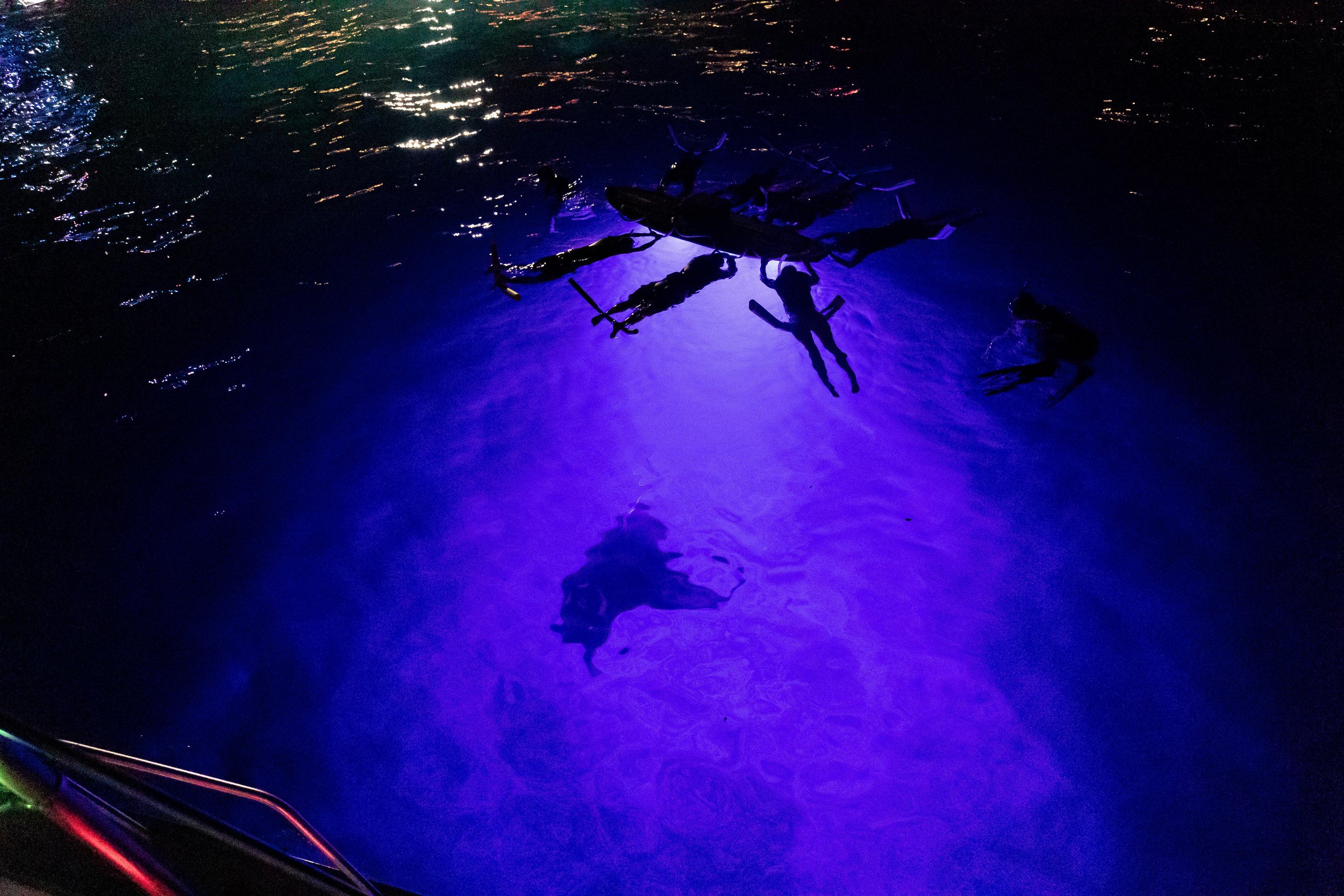 This is the limited edition companion guidebook to the big island ghost tours® kona haunted hele tour, published exclusively by kahuna research group . Hawaiian Adventures World Class Kona Whale Watch And Snorkeling Tours