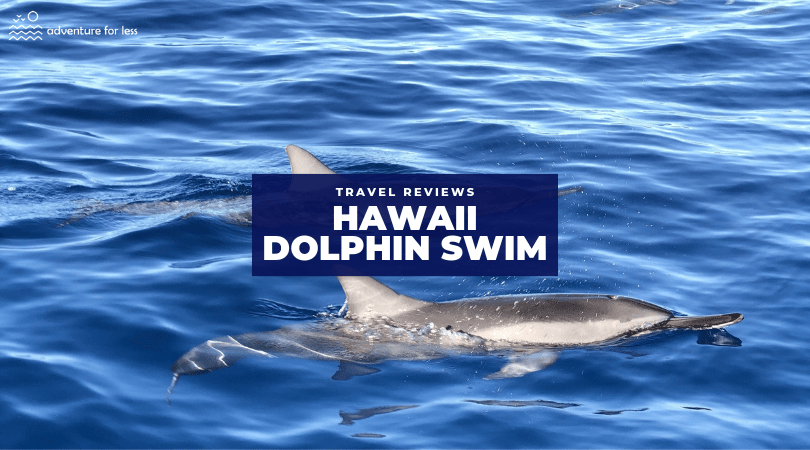 The best kona snorkel tours & kona boat tours in hawaii. Swim With Dolphins In Hawaii Into The Blue Dolphin Review Adventure For Less