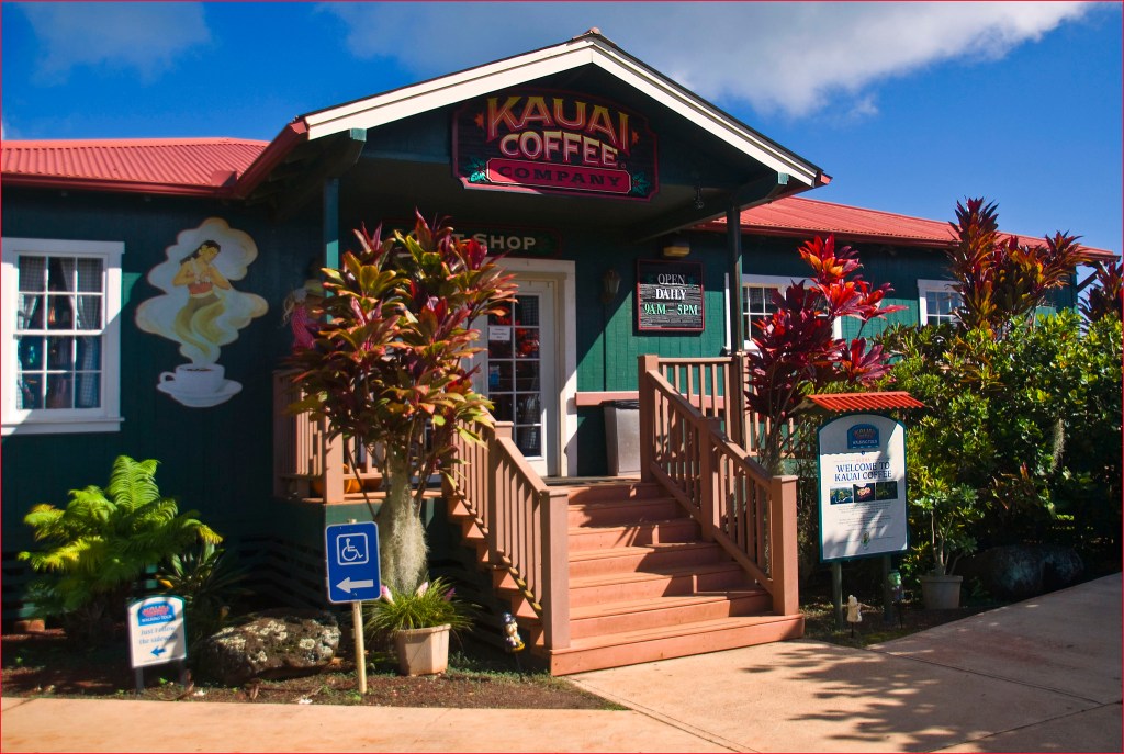19+ Best Kona Coffee Farms To Visit&nbsp;Packages