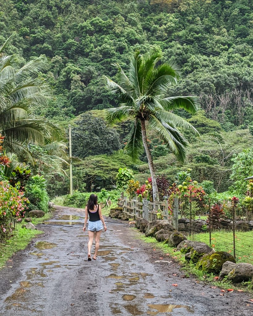 Is The Big Island Open For Travel&nbsp;Package