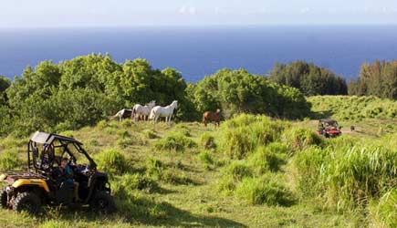 22+ Big Island Utv Package