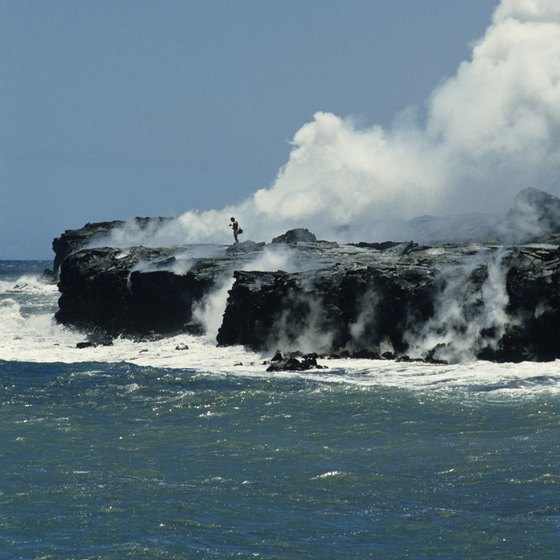 Whale Tours Hawaii Big Island Package