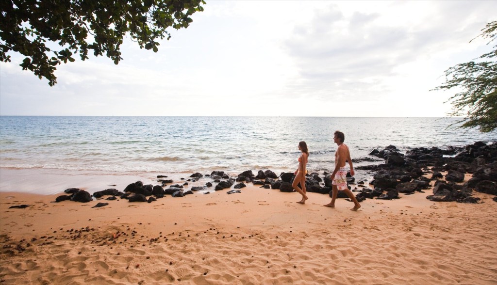36+ Big Island Hawaii Vacation Deals Packages