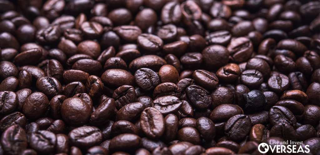 48+ Coffee Tour Near Kona Packages