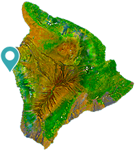 Exploring Big Island Aina&nbsp;Tours