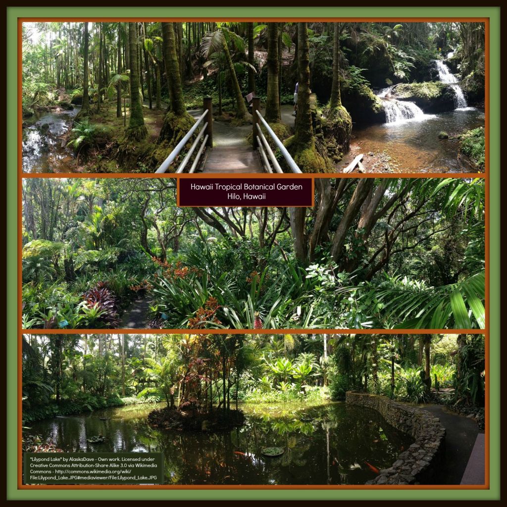 24+ Botanical Gardens Hilo Zipline Packages