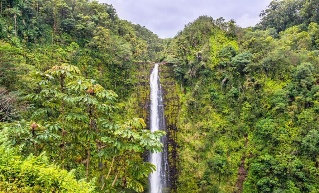 22+ Kona Waterfall Tour&nbsp;Packages