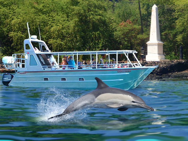 45+ Dolphin Snorkel Big Island Hawaii Package