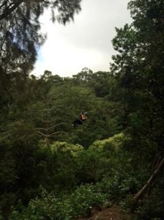 Best Big Island Eco Adventures Ii Zipline Canopy Tour