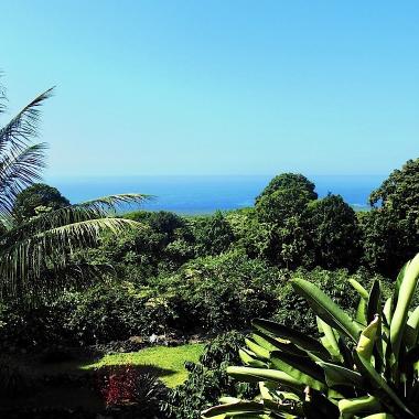 36+ Big Island Coffee Tour&nbsp;Package