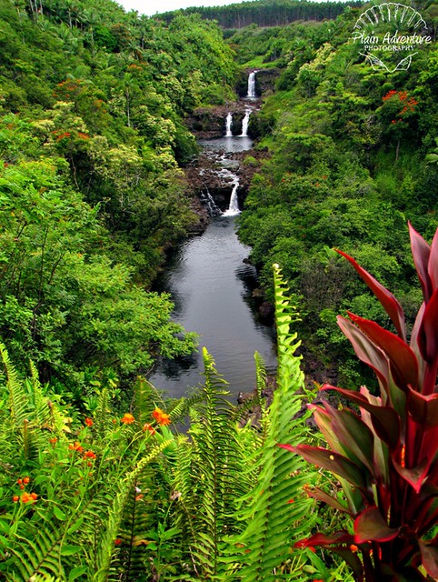 Amazing Big Island Garden Tour Packages
