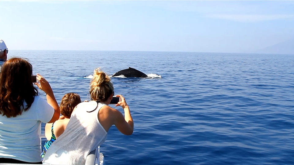 Hawaii Island Holidays Tours Packages