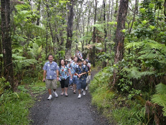 36+ Guided Tours Big Island Hawaii&nbsp;Package