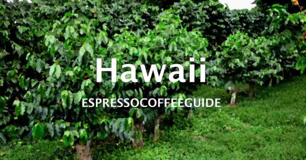 49+ Kona Coffee Plantation Tour Big Island Packages