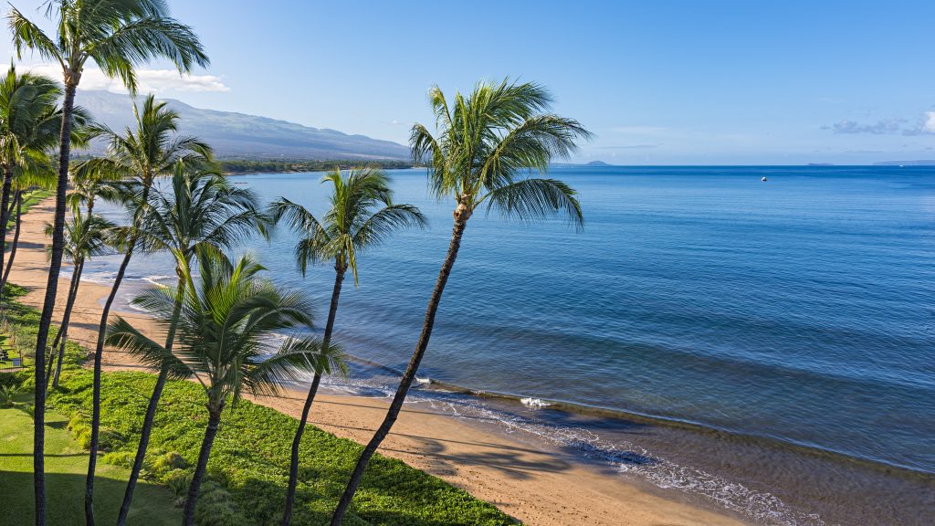 Big Island Travel Quarantine&nbsp;Packages