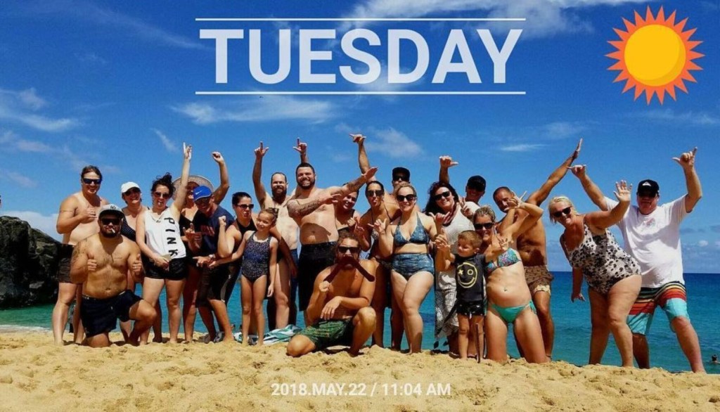 44+ Hawaii Turtle Tours Circle Island&nbsp;Packages