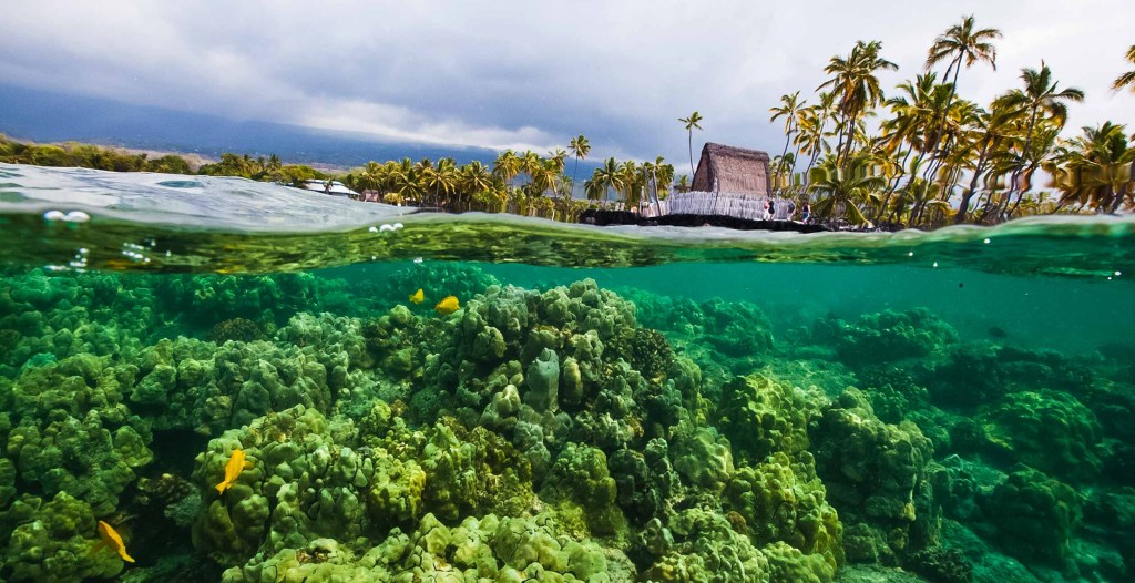 Exploring Big Island Of Hawaii Tours Packages